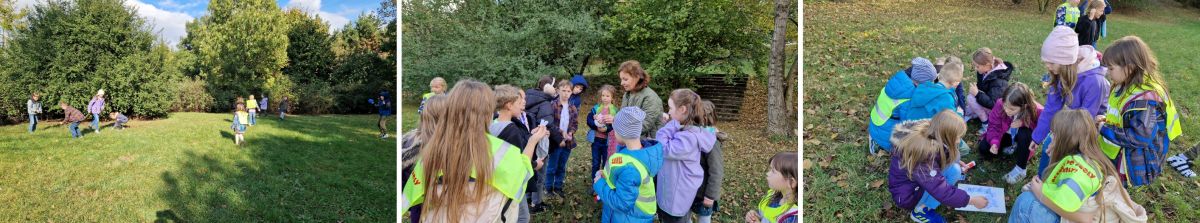 Procházka plná soutěží