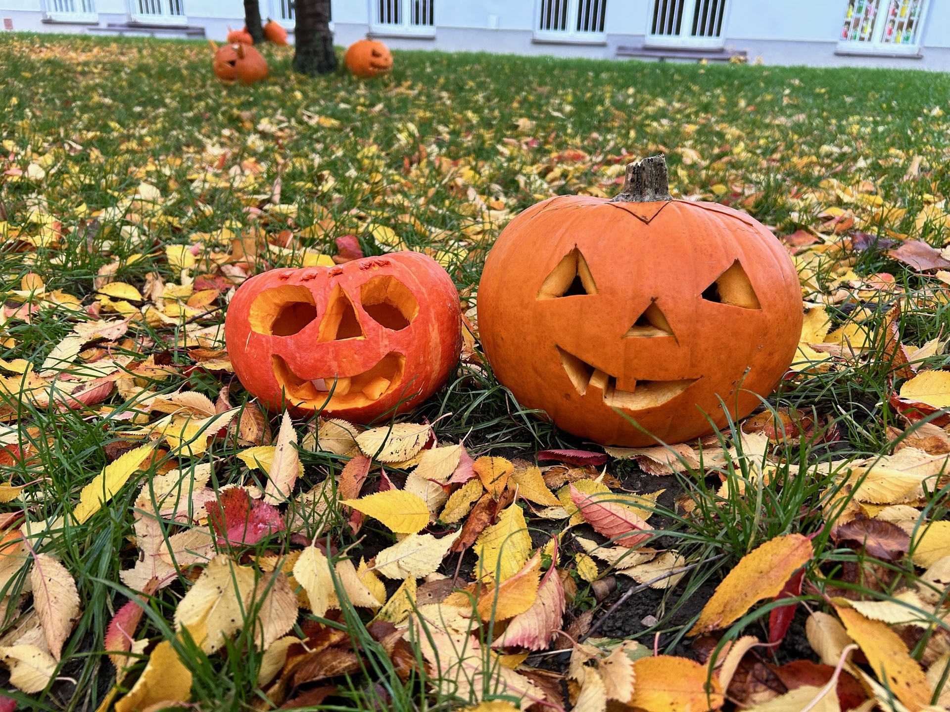 Halloween na Pražačce: Strašidla, dýně a radost v dětských očích!