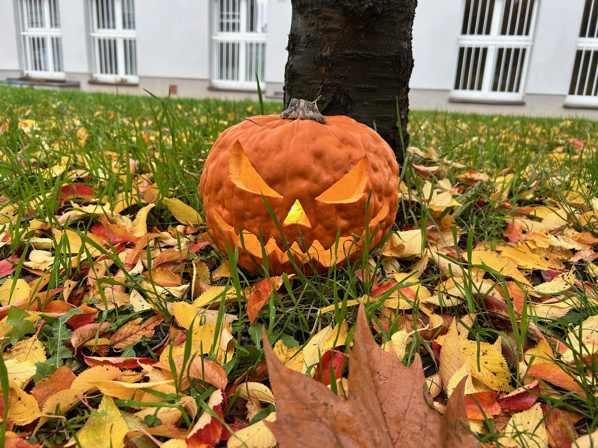 Halloween na Pražačce: Strašidla, dýně a radost v dětských očích!