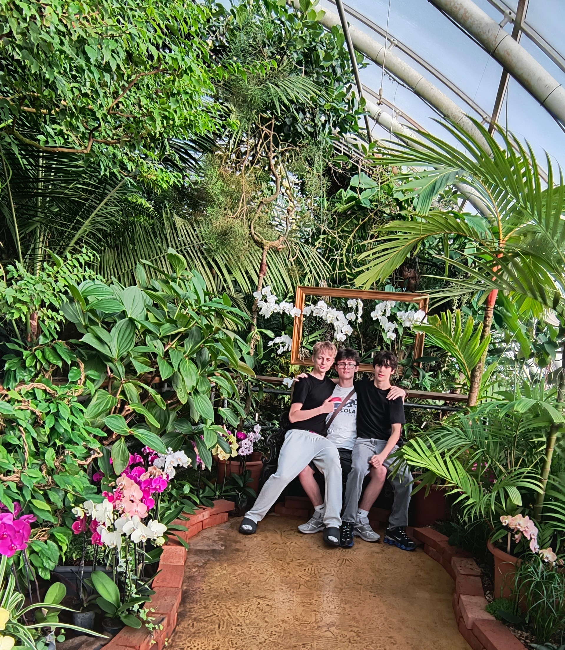 Za krásou orchidejí