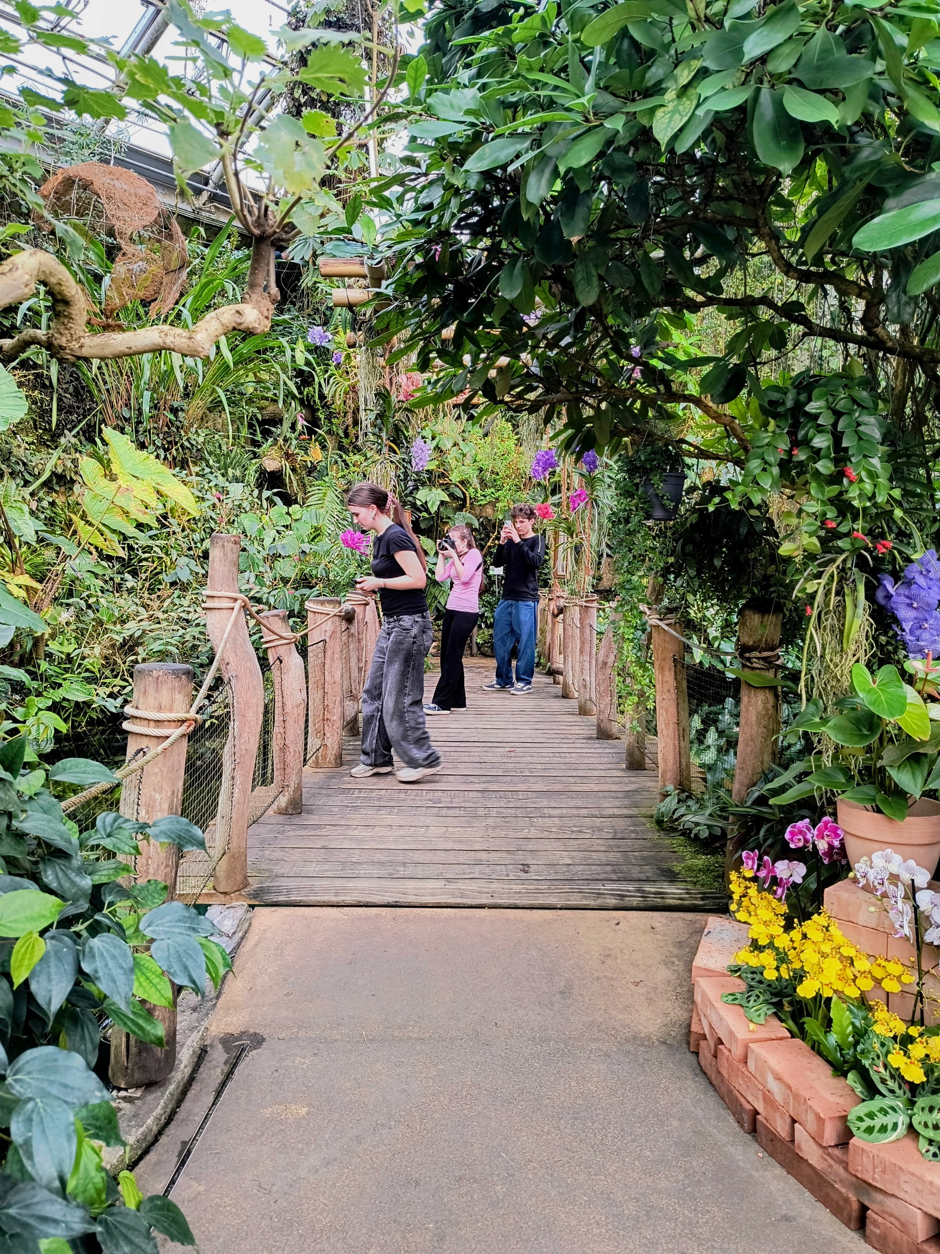 Za krásou orchidejí